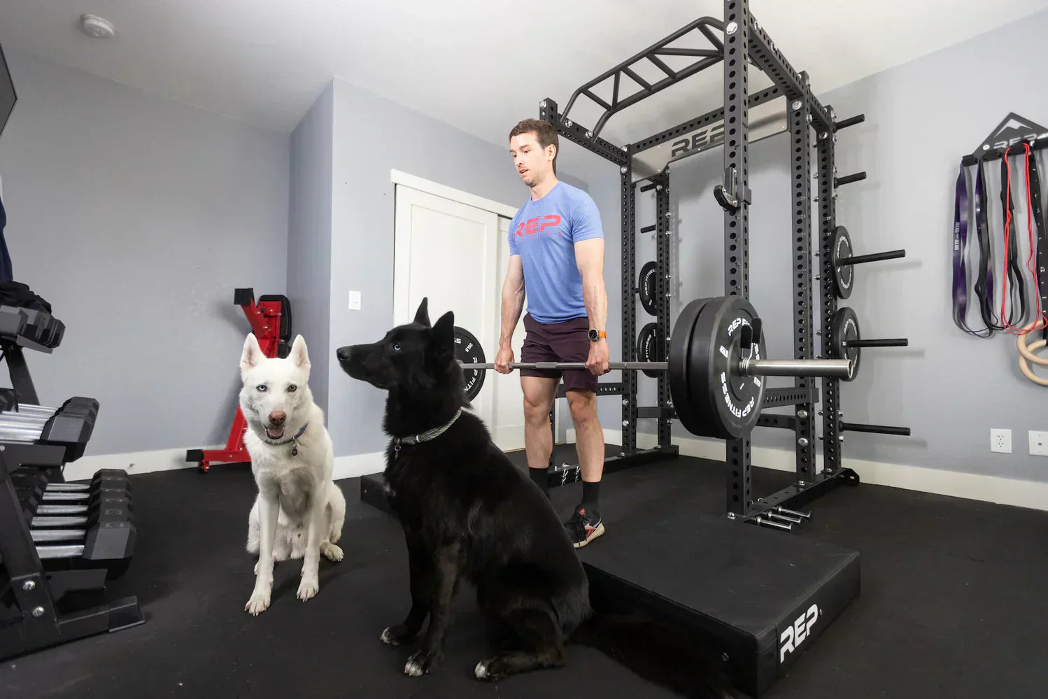 Home Gym Gift Guide: Bedroom Gym Ideas & Essentials 2025 – REP FITNESS EU